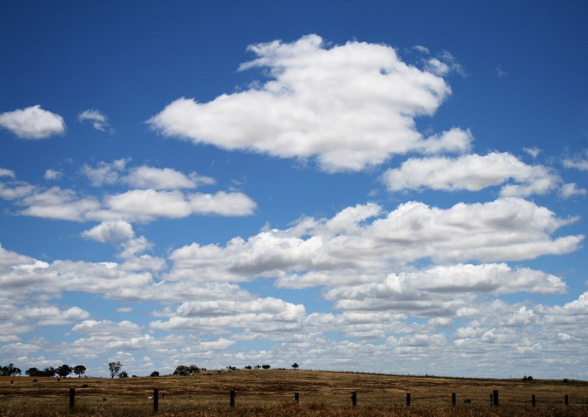Shallow cumulus humilis above open countryside · Toby Hudson · CC BY-SA 3.0