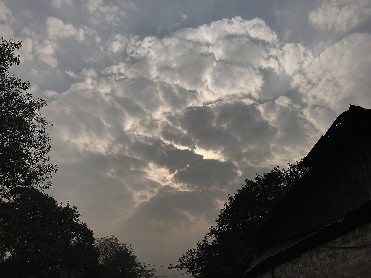 Rounded stratocumulus elements and gaps · Indrajit Das · CC BY-SA 4.0