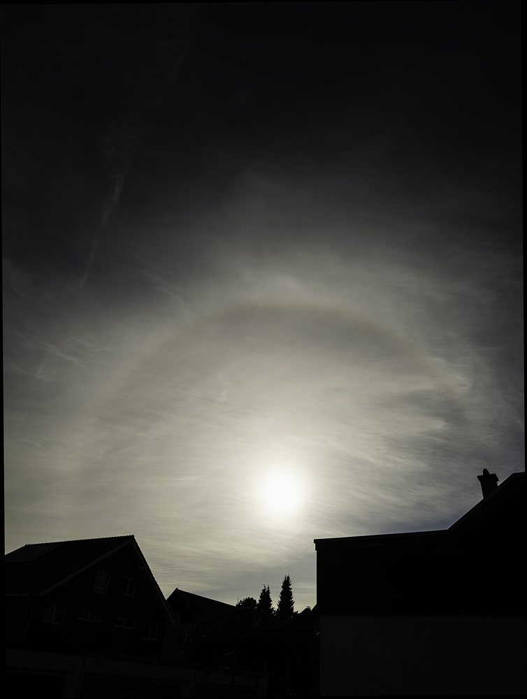 A solar halo in a cirrostratus veil · Franz van Duns · CC BY 4.0
