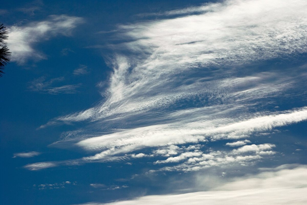 Fine patterned cirrocumulus alongside wispy cloud · Suzanne Clute · CC BY-SA 2.0