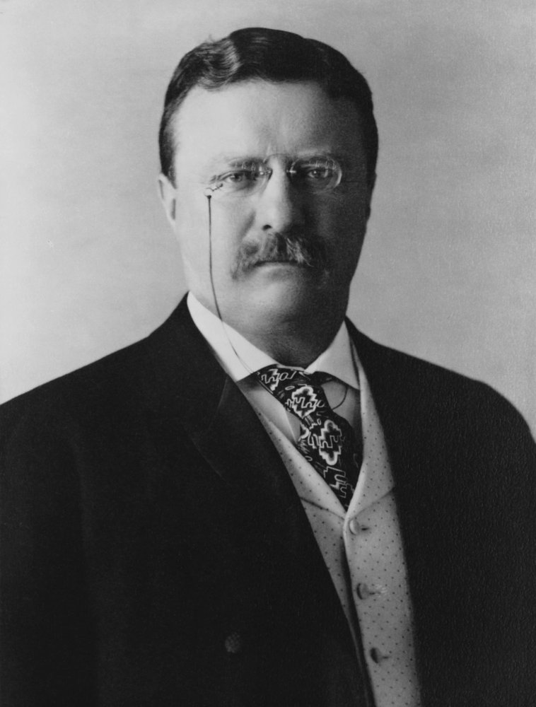 Theodore Roosevelt photographed by Pach Brothers, 1904. Presidency: 1901–1909.