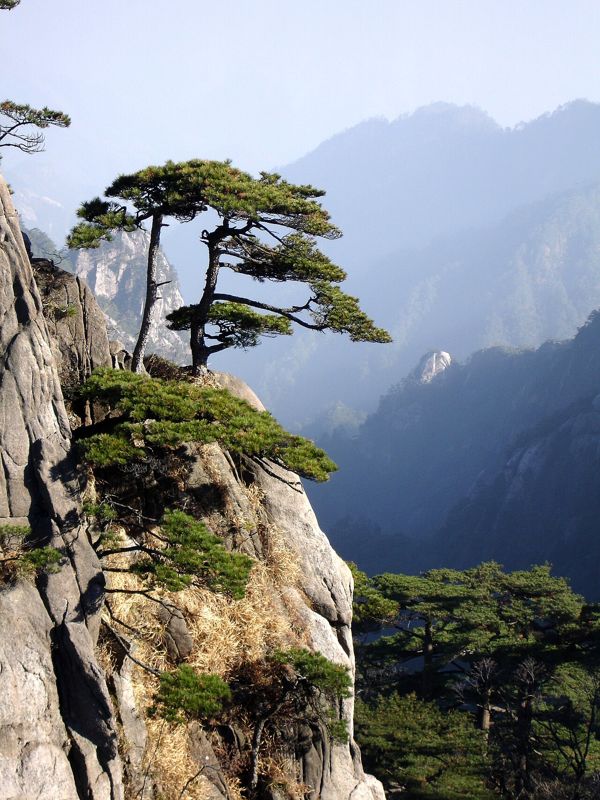 黄山花岗岩山地景观。